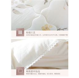 凱詩(shī)風(fēng)尚凝醉香大豆纖維秋冬被 全棉加厚，溫暖守護(hù)你的冬夜
