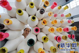科技創(chuàng)新求發(fā)展 大豆纖維的綠色革命與未來之路